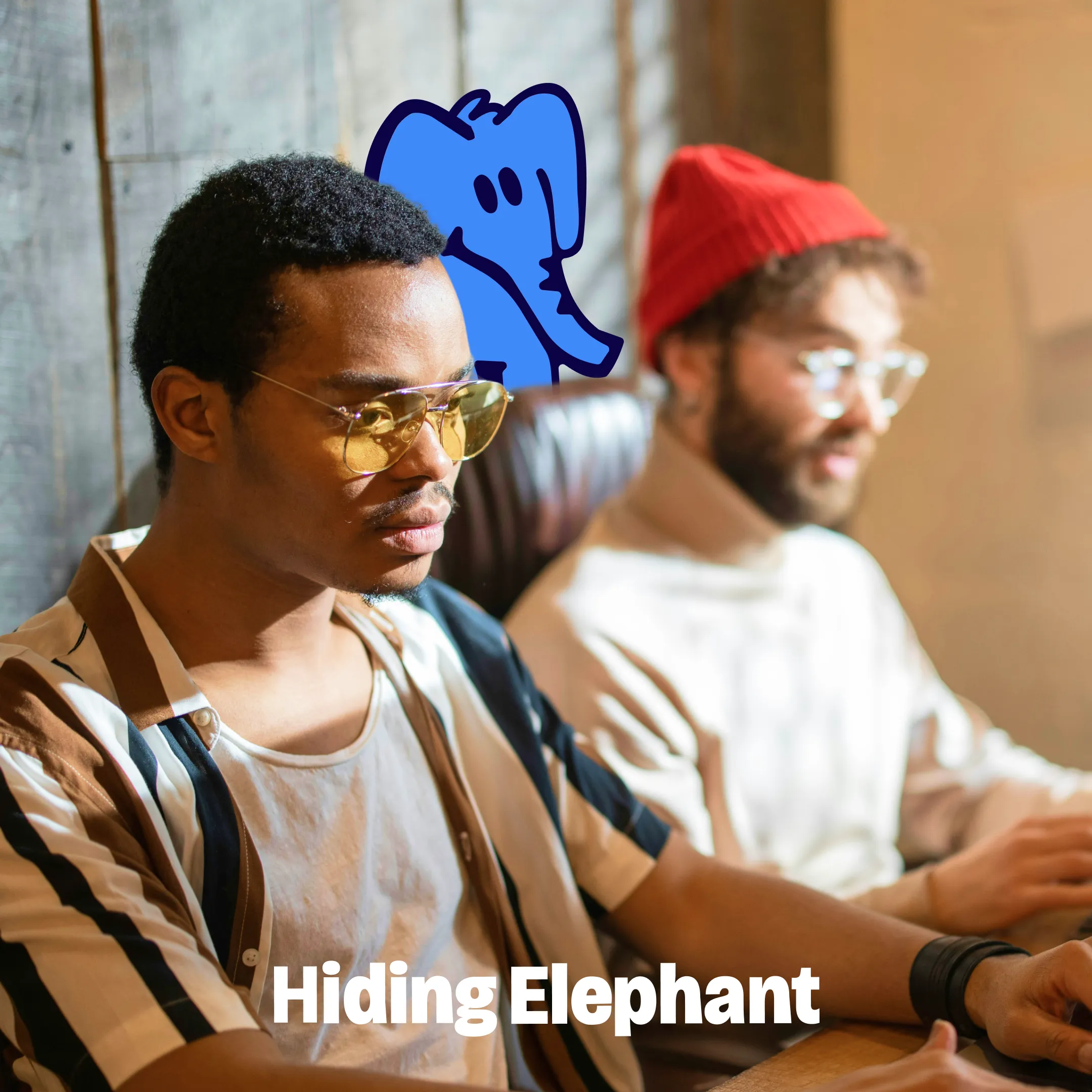 Hiding Elephant by designers, for designers