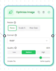 Multi-format export with optimization settings